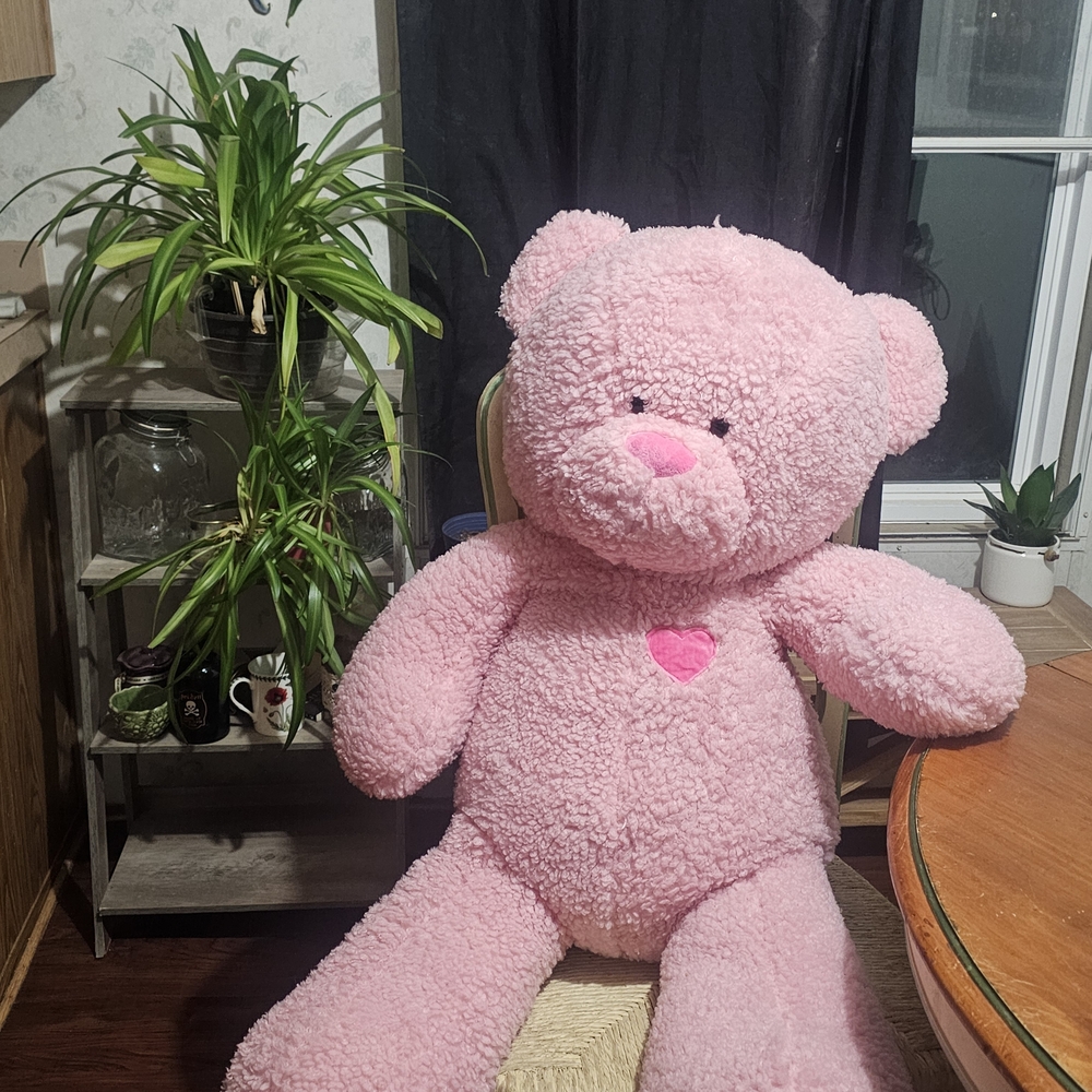 Large Pink Teddy Bear with Heart